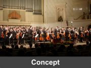 Amadeus: Concept